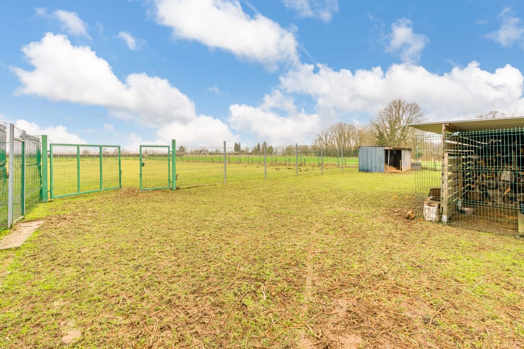 Photo 31 of Misweg 55