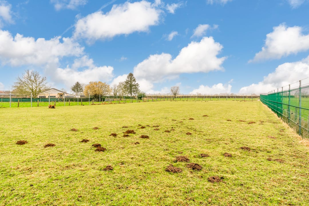 Photo 32 of Misweg 55