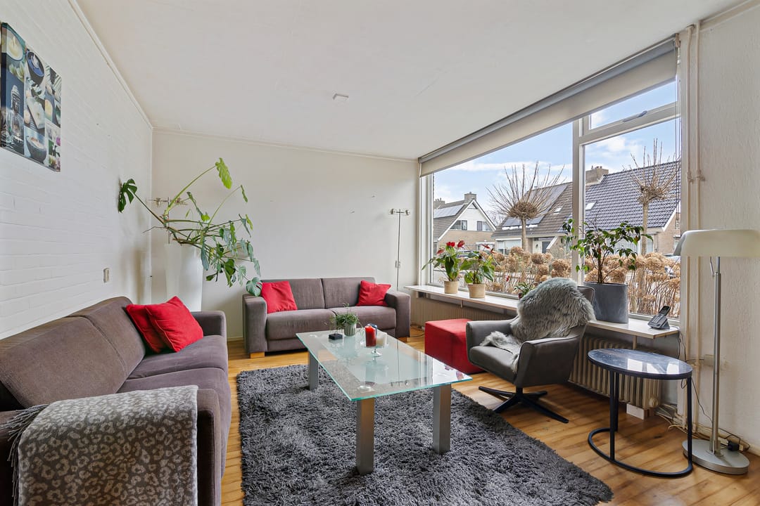 Foto 2 van de Kluut 12