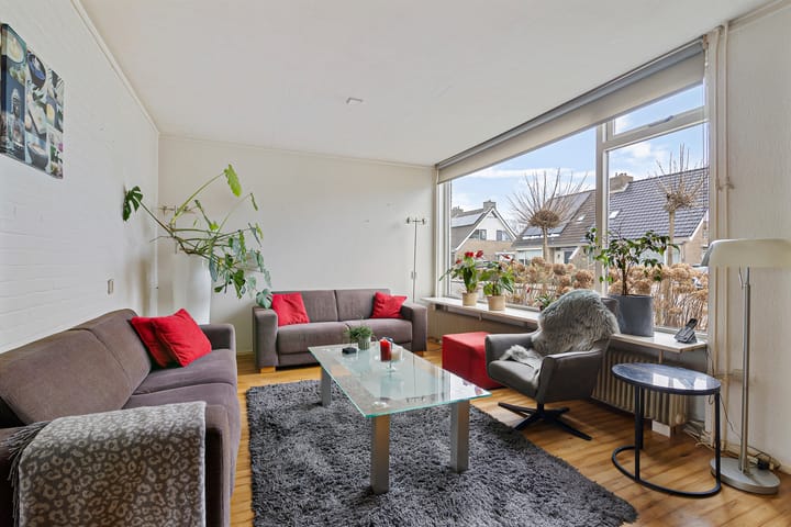 Foto 2 van de Kluut 12