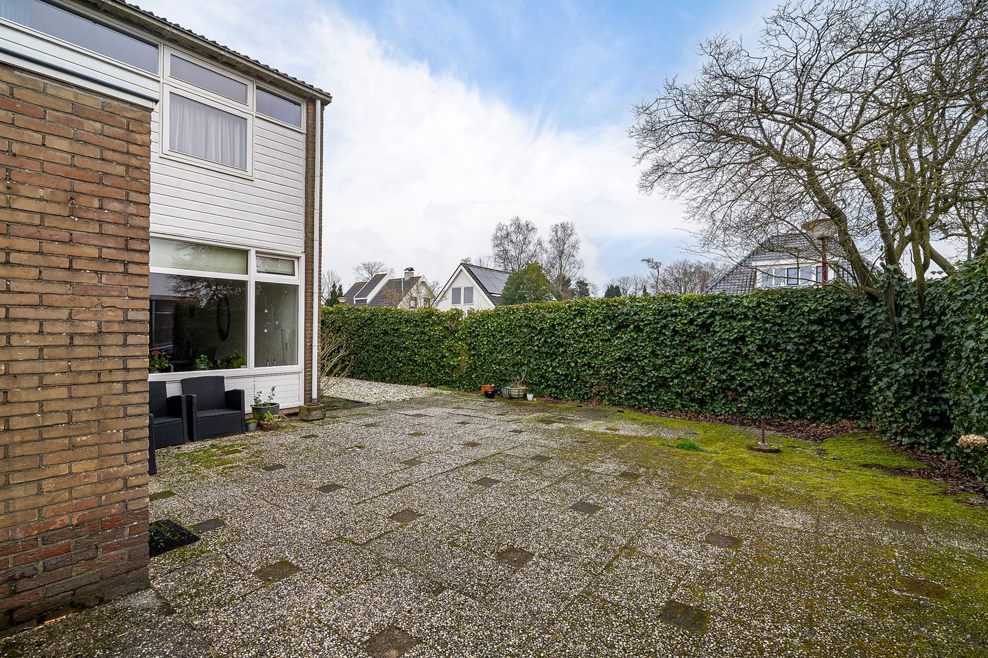 Foto 4 van de Kluut 12