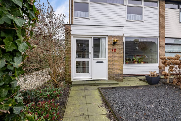 Foto 6 van de Kluut 12