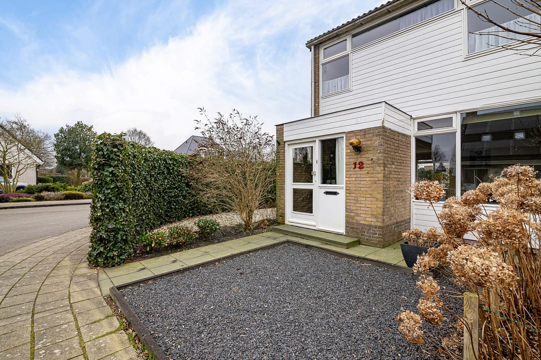 Foto 7 van de Kluut 12