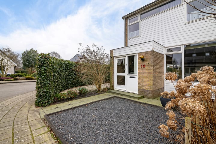 Foto 7 van de Kluut 12