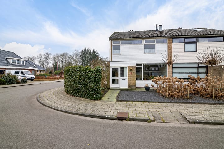 Foto 8 van de Kluut 12