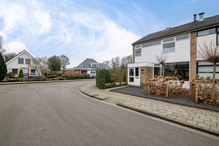 Foto 9 van de Kluut 12