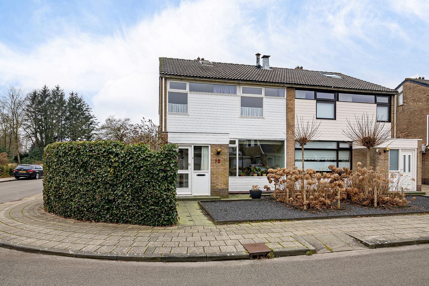 Foto 10 van de Kluut 12