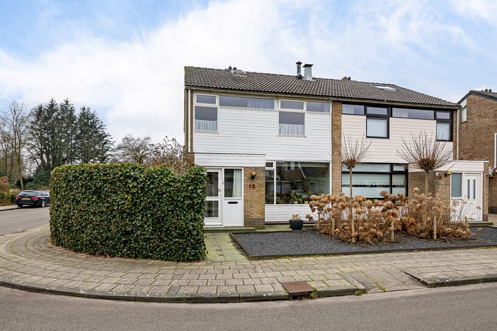 Foto 10 van de Kluut 12