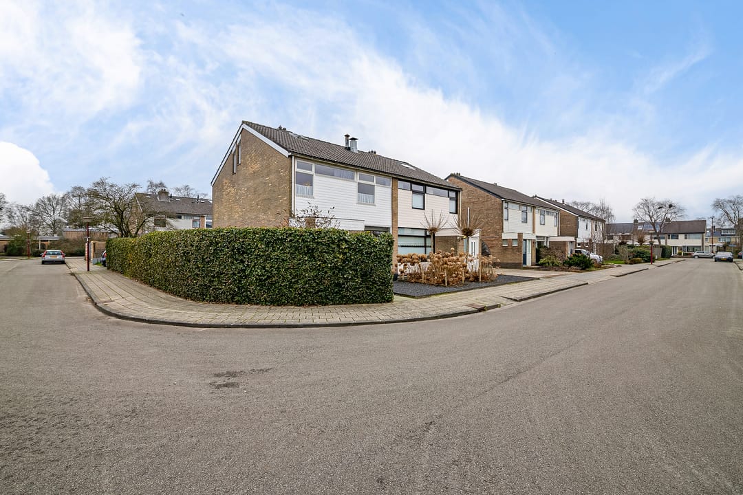 Foto 11 van de Kluut 12