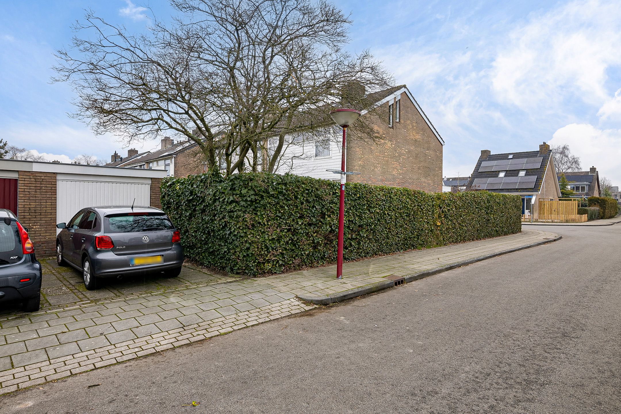 Foto 12 van de Kluut 12