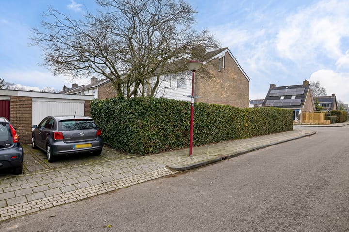 Foto 12 van de Kluut 12