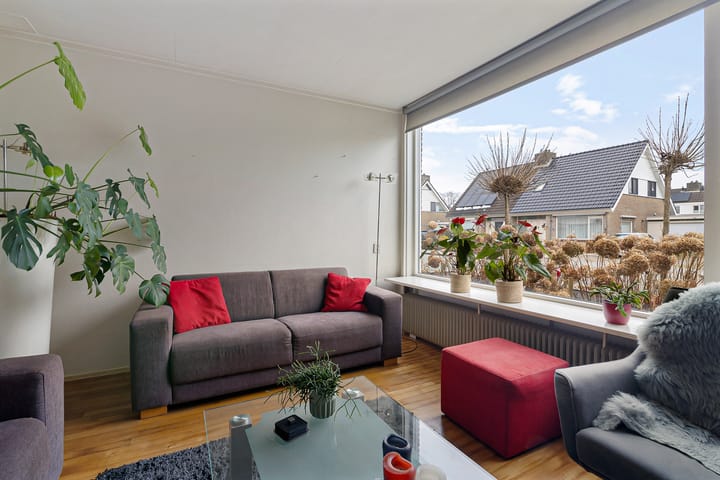 Foto 15 van de Kluut 12