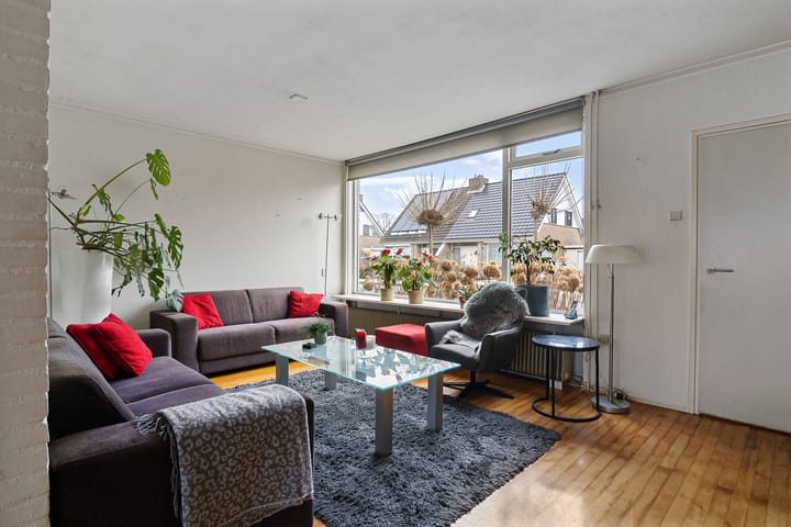 Foto 18 van de Kluut 12