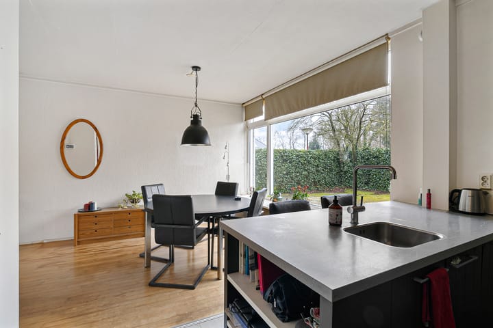 Foto 21 van de Kluut 12