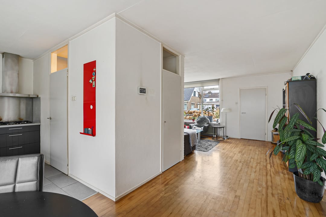 Foto 22 van de Kluut 12