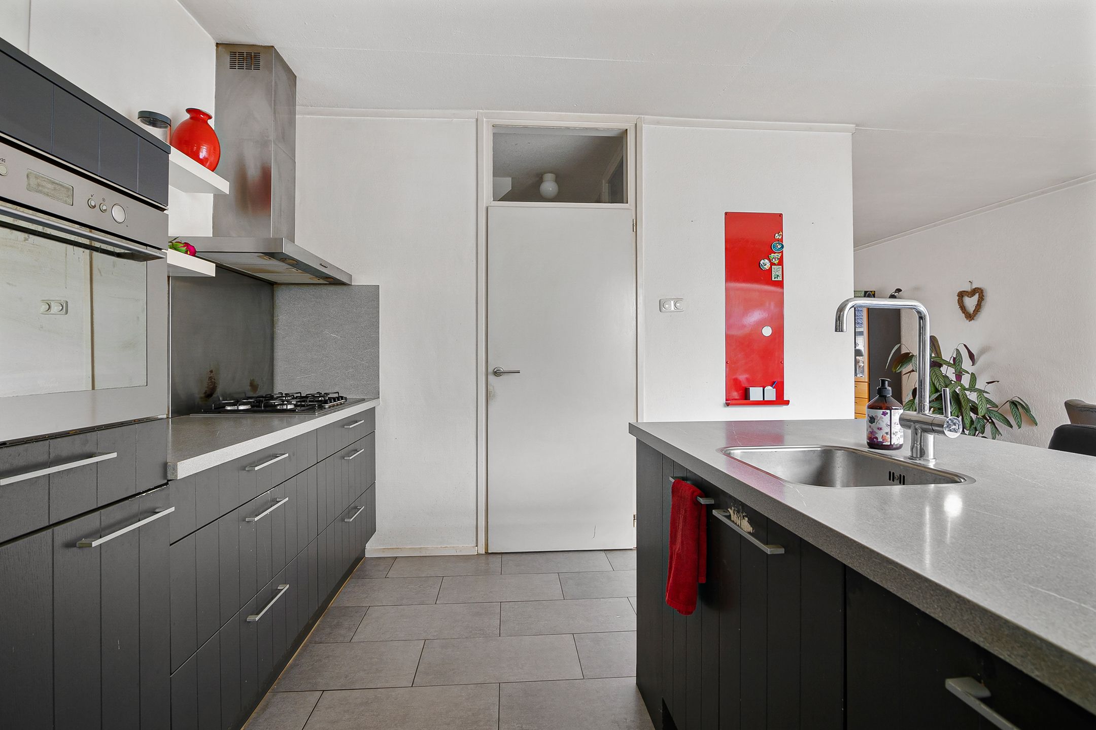 Foto 24 van de Kluut 12