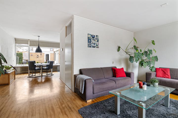 Foto 14 van de Kluut 12