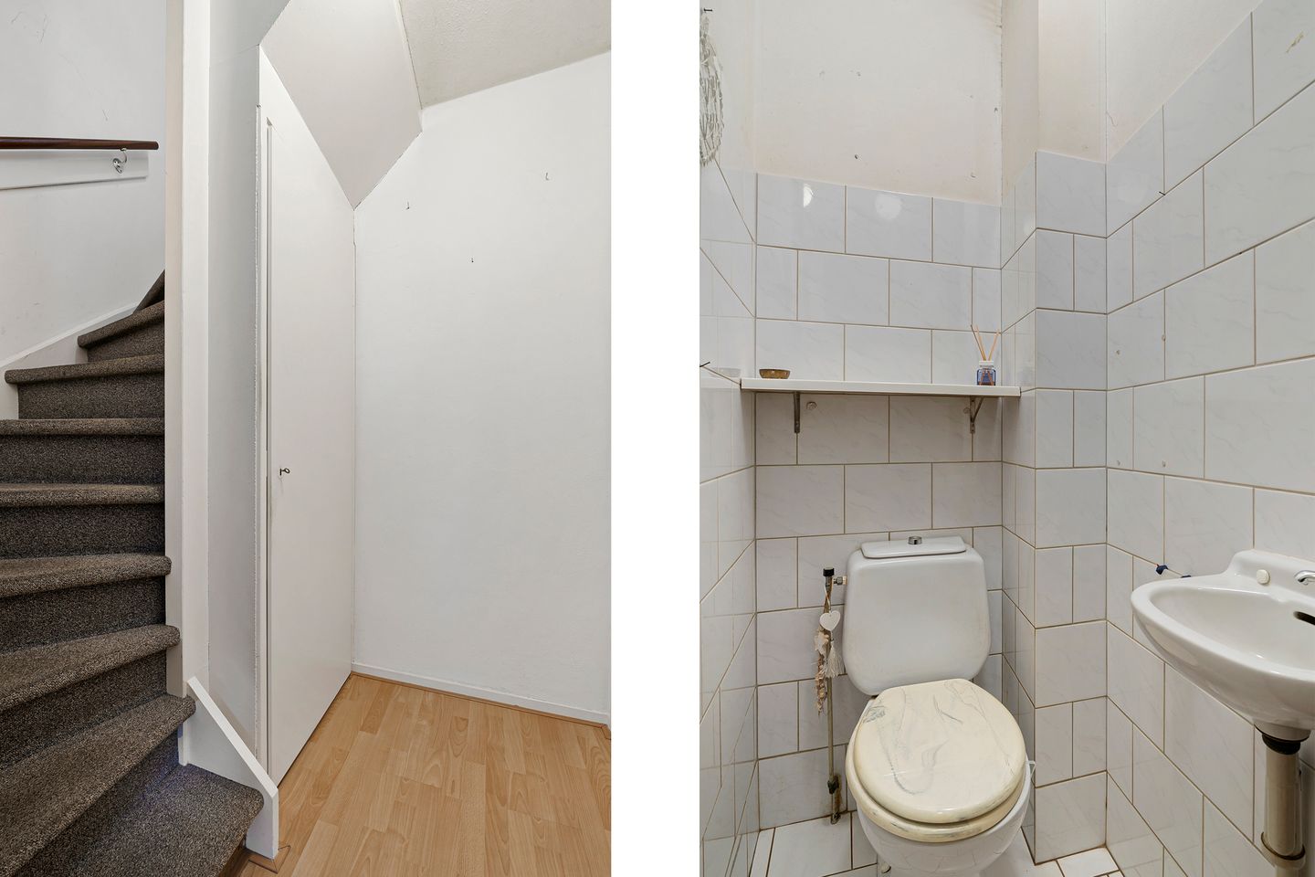 Foto 25 van de Kluut 12