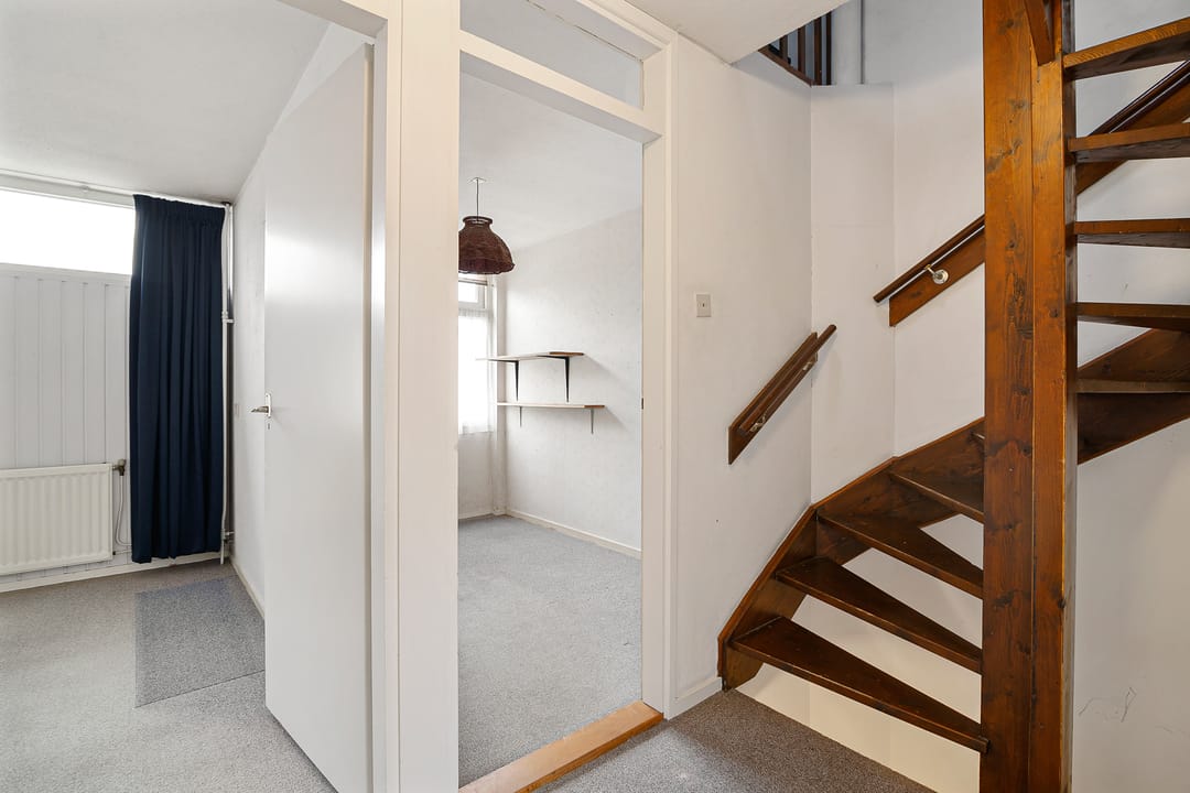 Foto 26 van de Kluut 12