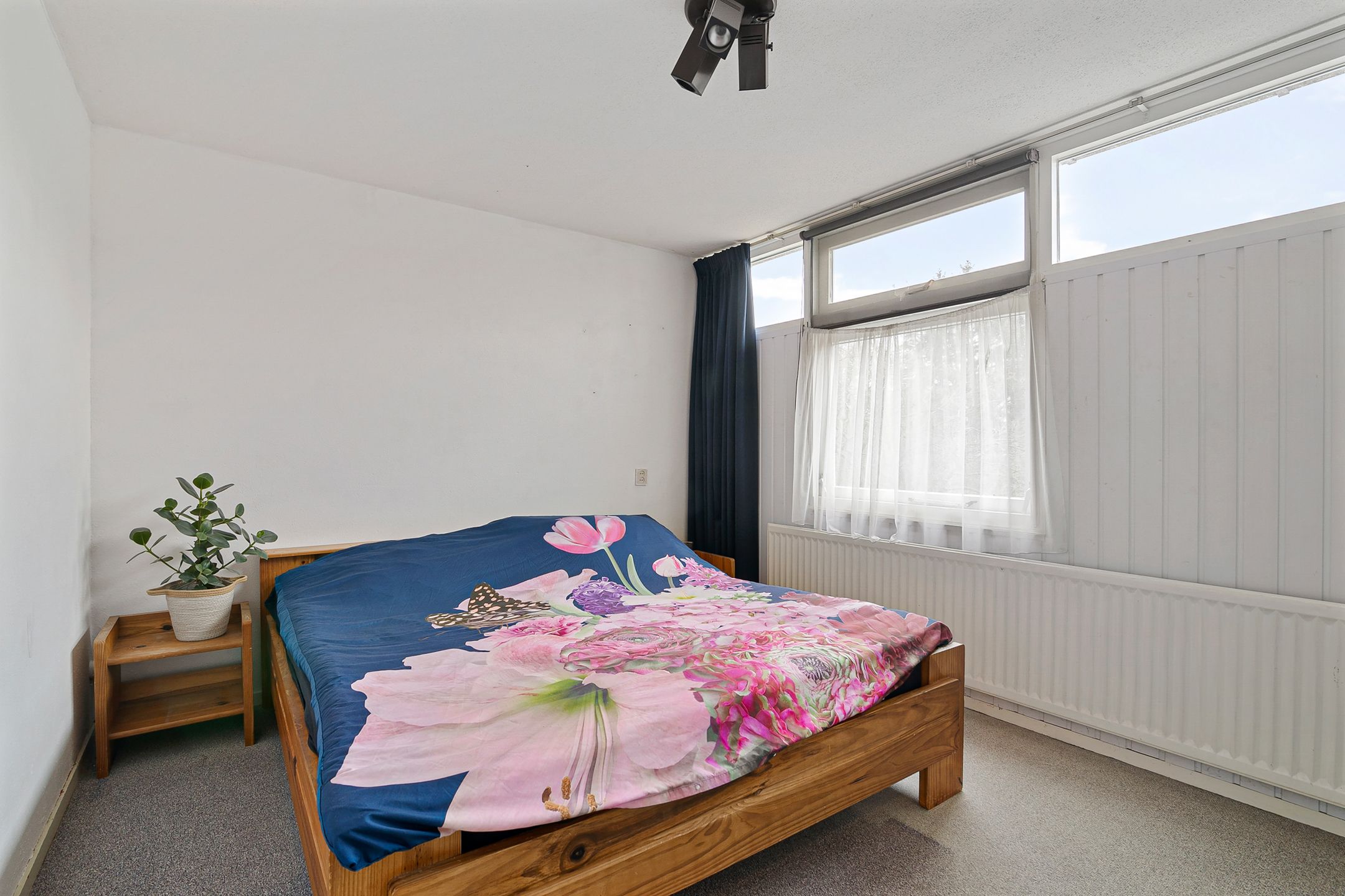 Foto 27 van de Kluut 12