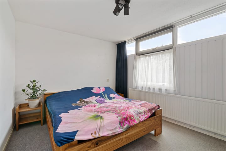 Foto 27 van de Kluut 12