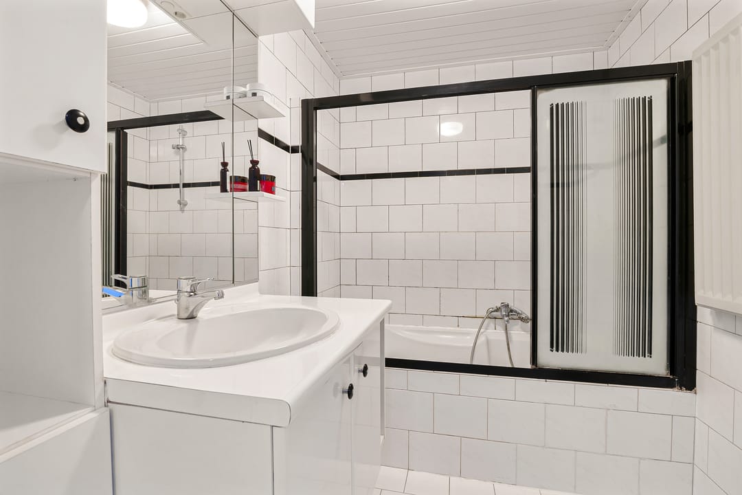 Foto 32 van de Kluut 12