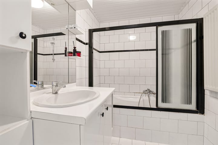 Foto 32 van de Kluut 12