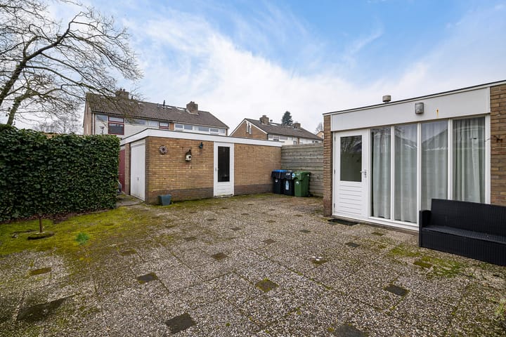 Foto 38 van de Kluut 12