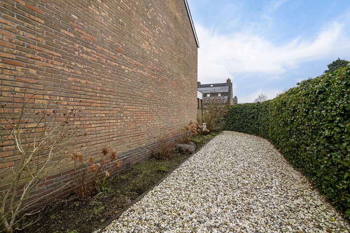 Foto 39 van de Kluut 12