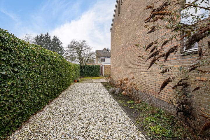 Foto 40 van de Kluut 12