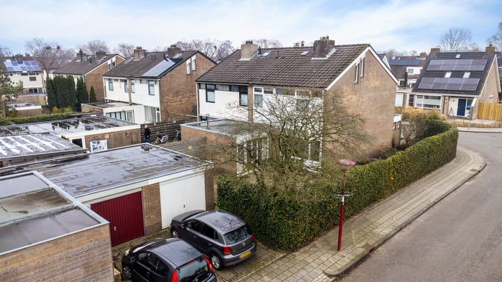 Foto 41 van de Kluut 12