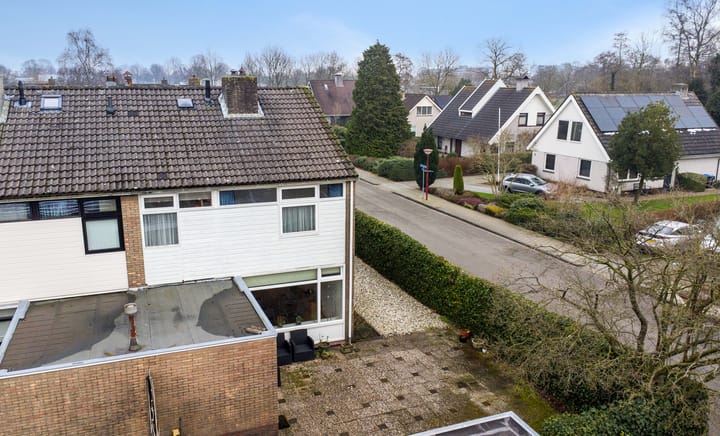 Foto 42 van de Kluut 12