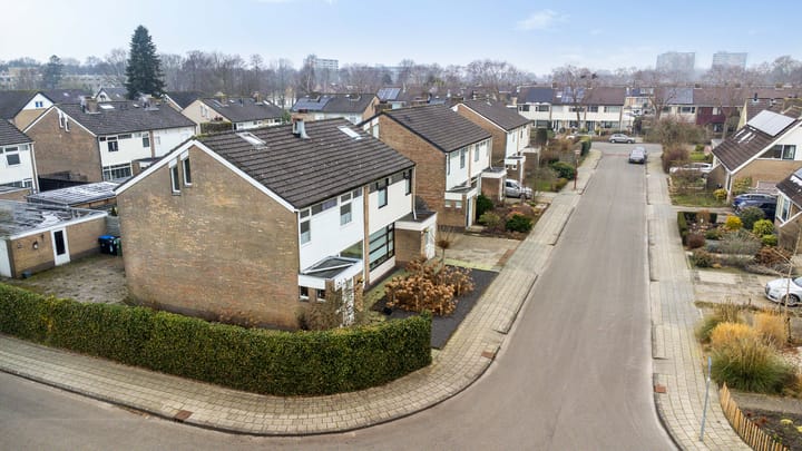 Foto 44 van de Kluut 12