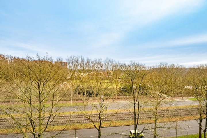 Foto 13 van Livingstonelaan 176