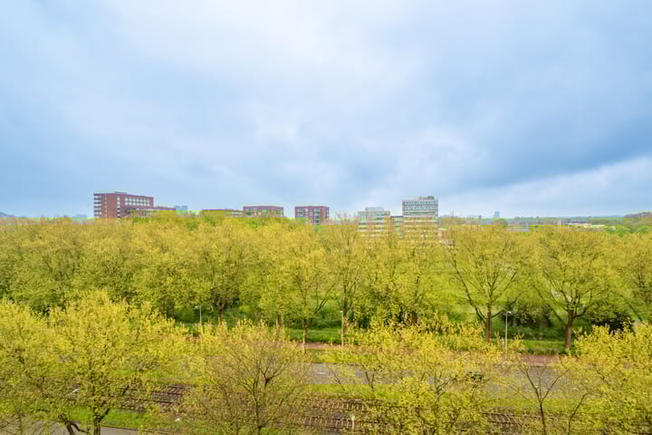 Foto 15 van Livingstonelaan 176