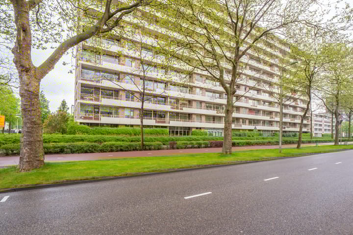 Foto 35 van Livingstonelaan 176