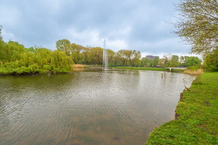 Foto 36 van Livingstonelaan 176