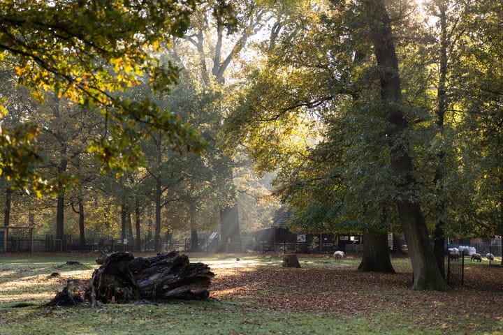 Foto 17 van Tempeliersstraat 42-D