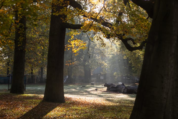 Foto 18 van Tempeliersstraat 42-D