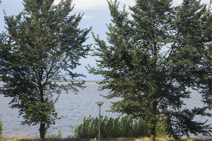 Foto 7 van Bert Haanstrakade 202