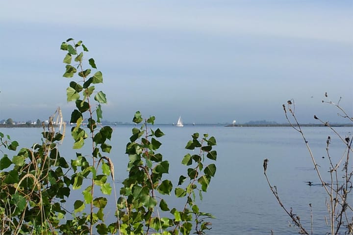 Foto 43 van Bert Haanstrakade 202