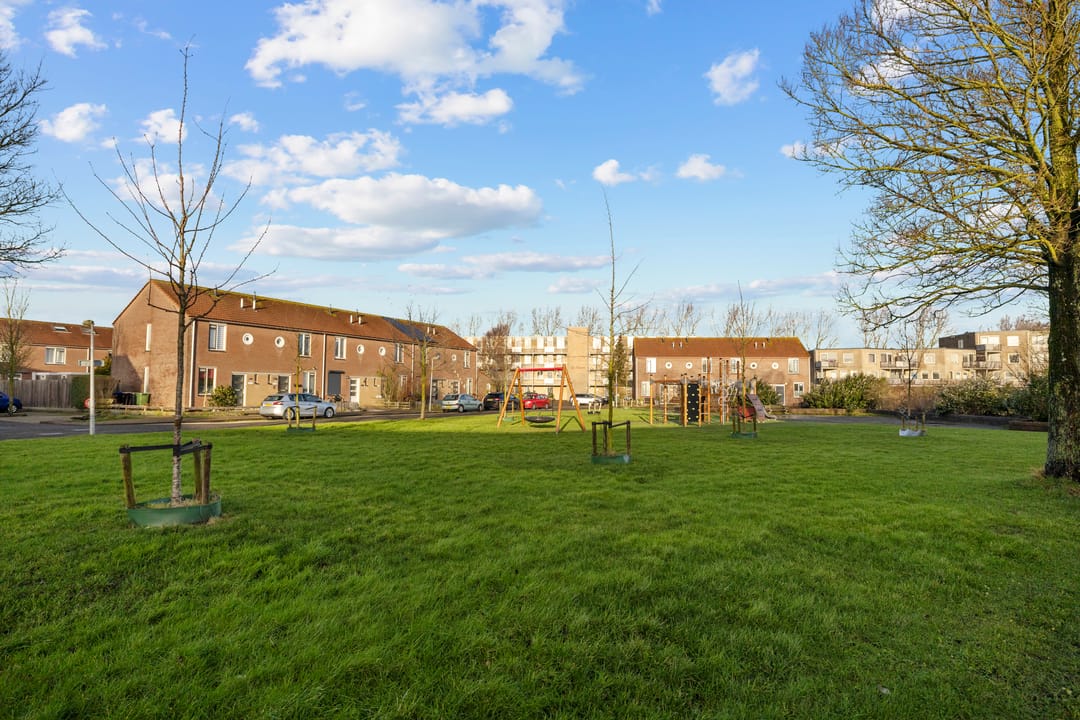 Foto 2 van Boterzwin 3221