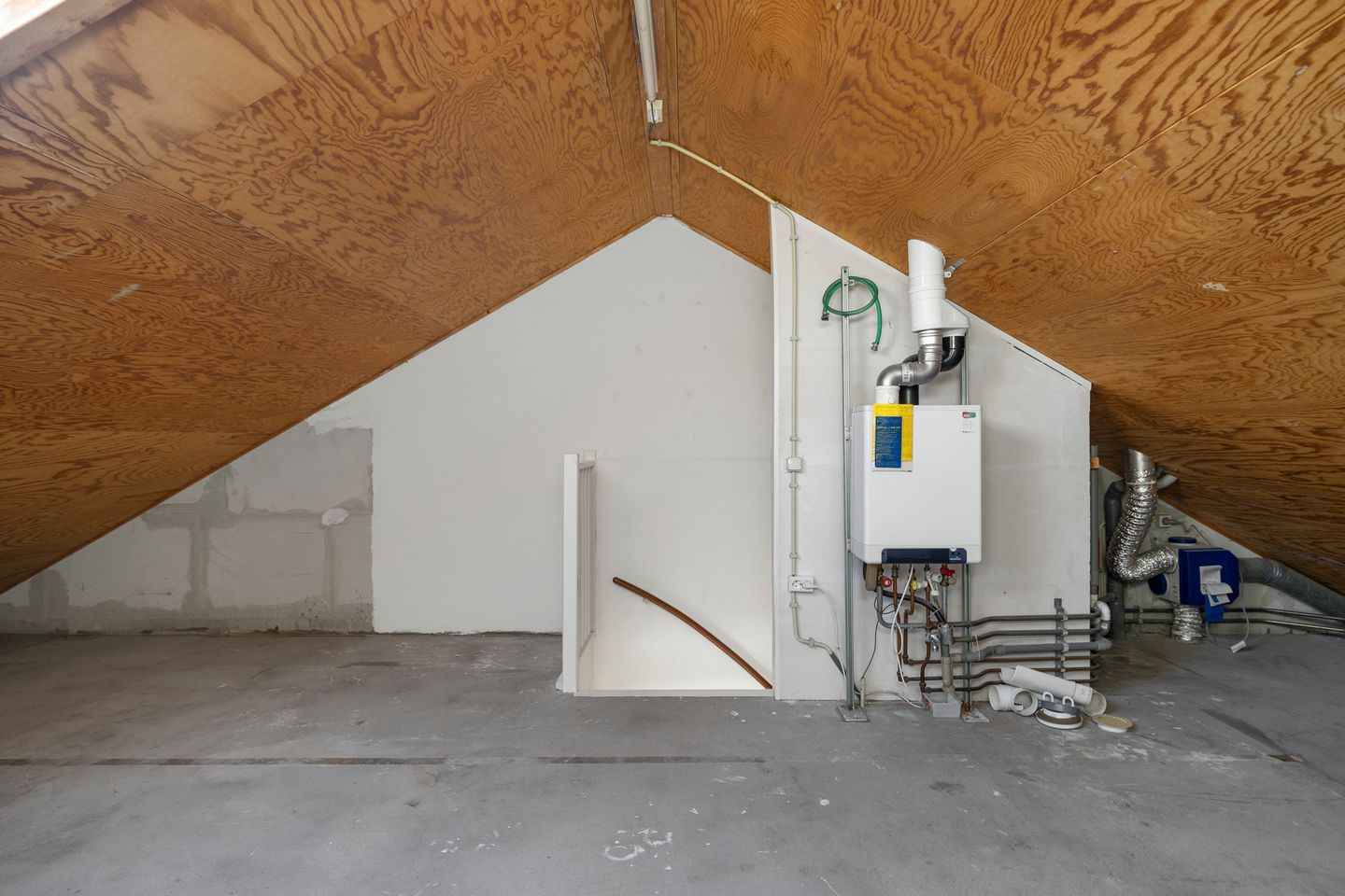 Foto 14 van Boterzwin 3221