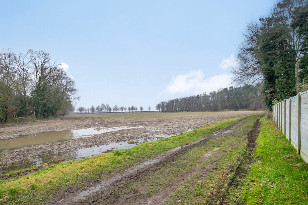 Foto 47 van Steenovens 67