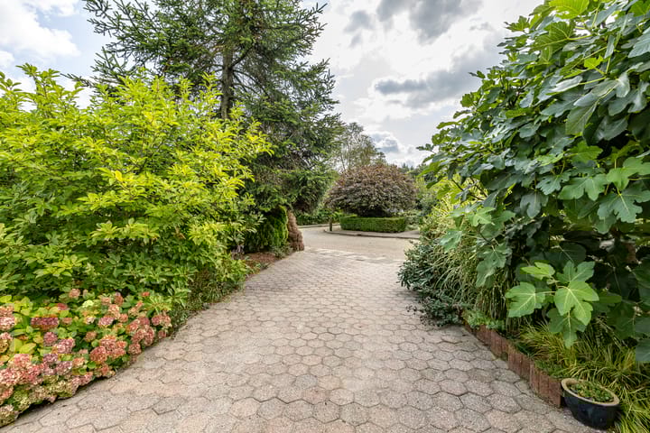 Foto 36 van Riekele Prinsstraat 3