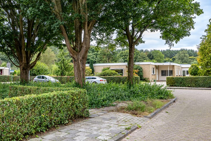 Foto 39 van Riekele Prinsstraat 3