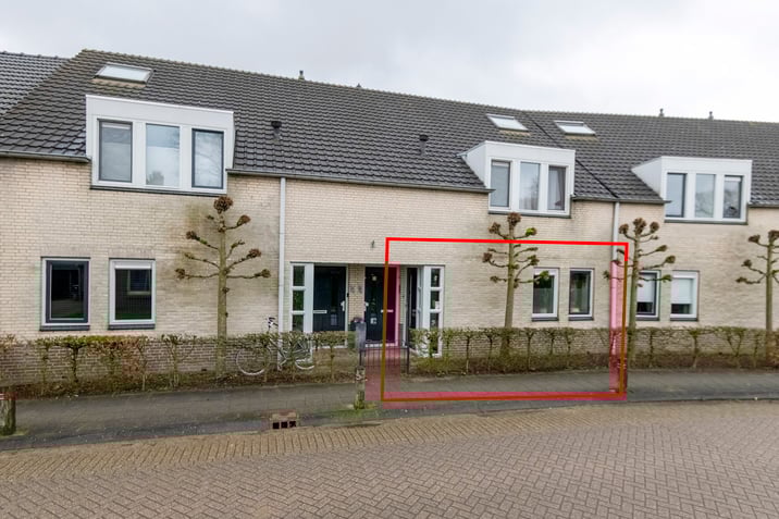 undefined main image