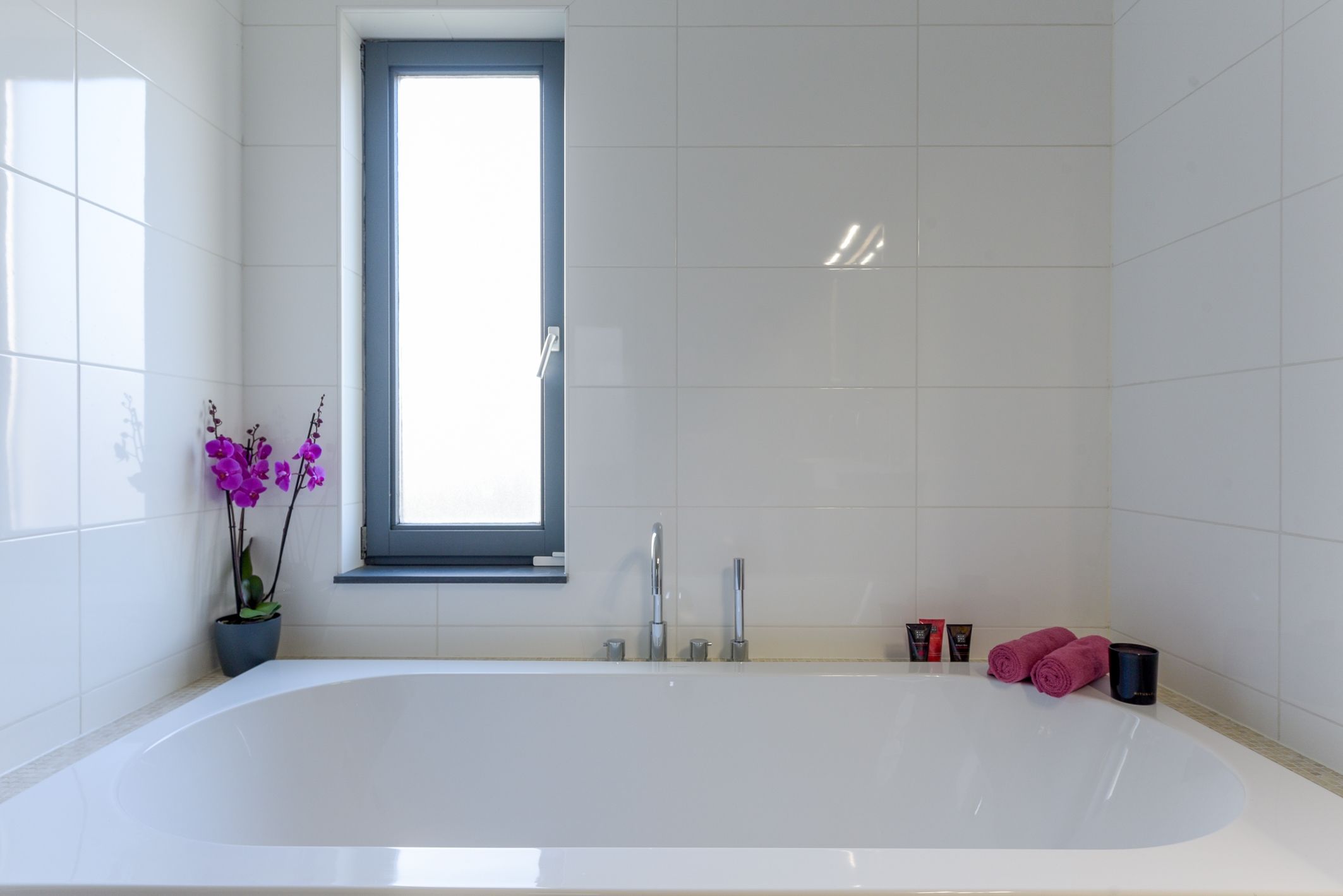 Foto 42 van Willem Hanegraaflaan 51