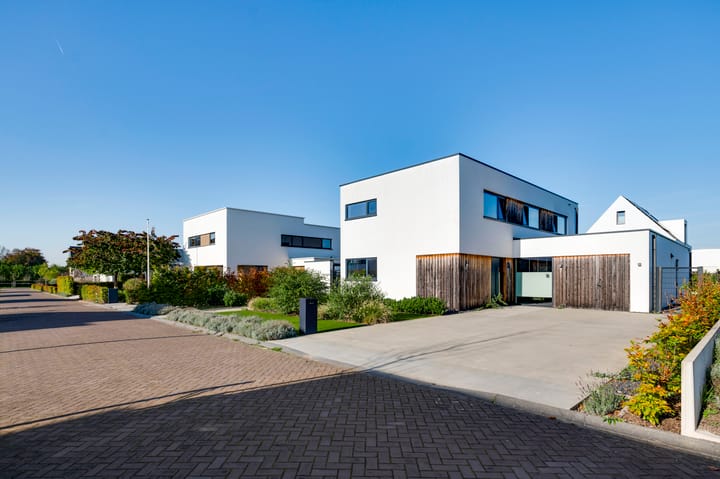 Foto 2 van Regenboogschotel 11