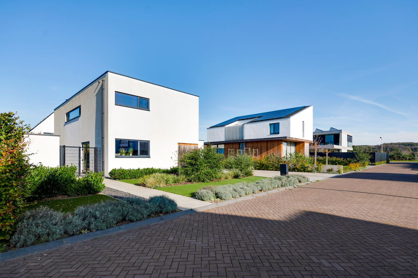 Foto 4 van Regenboogschotel 11